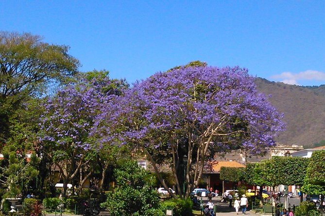 Antigua Walking Tour Morning and Afternoon - Plaza Central Park (Plaza Mayor): where Antigua’s geometry begins
