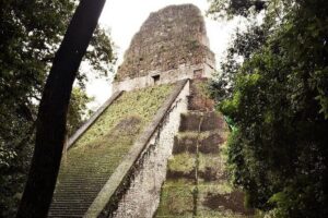 Basic Tour to Tikal Includes Transportation and Guide Service - Getting into Tikal: ticket timing, cash rules, and online options