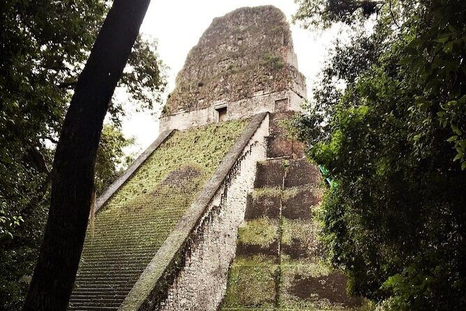 Basic Tour to Tikal Includes Transportation and Guide Service - Getting into Tikal: ticket timing, cash rules, and online options