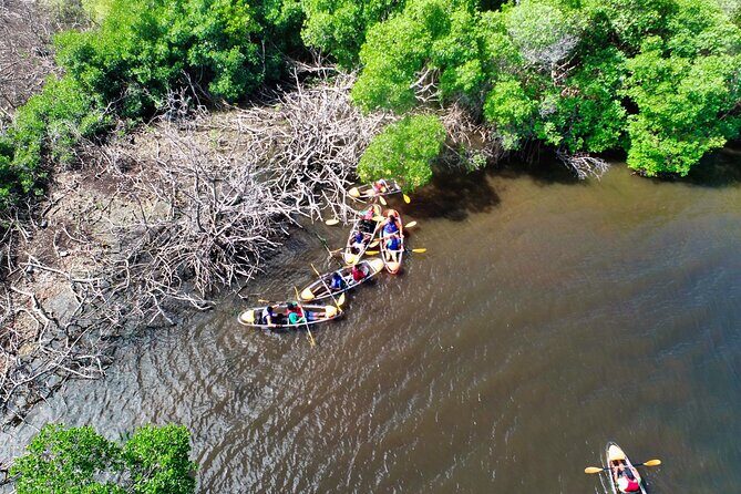 Clear Kayak Tour in Mangrove Antigua - Brittany’s Team: The Difference Good Guides Make