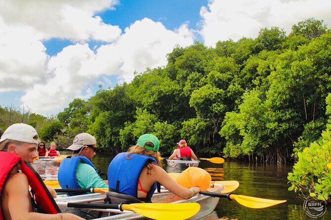 Clear Kayak Tour in Mangrove Antigua - Fitness Level and Comfort: What Moderate Means Here