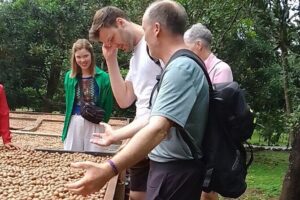 Coffee & Macadamia Fincas Tour - Stop 1: Finca La Azotea and the coffee process from production area