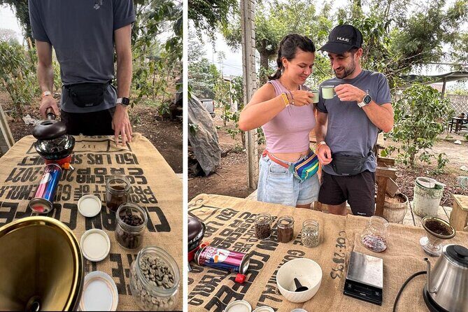 Experience: Organic Coffee, Avocados, Honey & More! - Coffee plantation walk to your own cup: the bean-to-brew routine