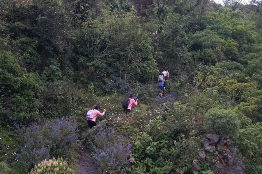 From Antigua to Pacaya Private Tour - Lava rock marshmallows and a calm lake break