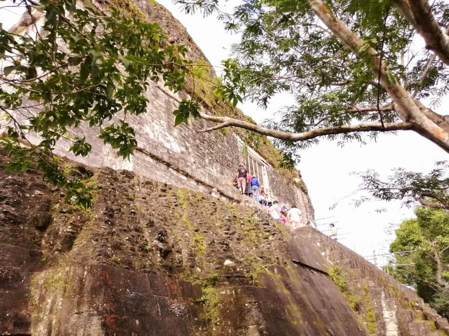 From Flores: Guided Tour to the Ruins of Tikal - Price and value: what $99 gets you for a full Tikal day