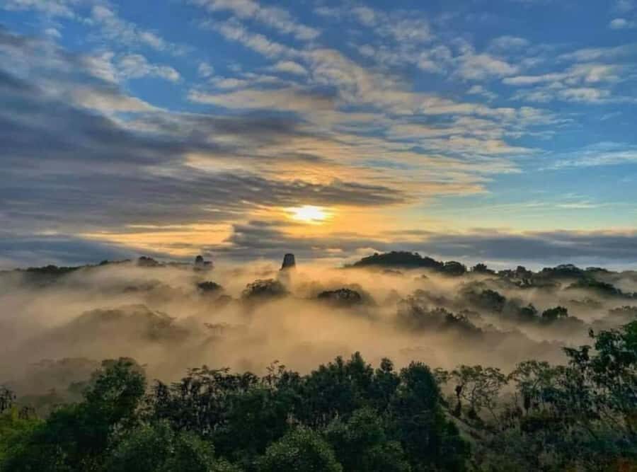 From Flores: Tikal Sunrise Extended Private Tour - The 40-minute walk to Temple IV: your realistic warm-up