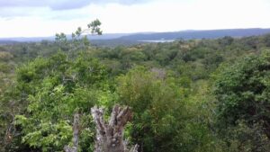From Flores: Yaxha Ruins Guided Tour - Yaxha With a Bilingual Guide: What You’ll Actually Learn